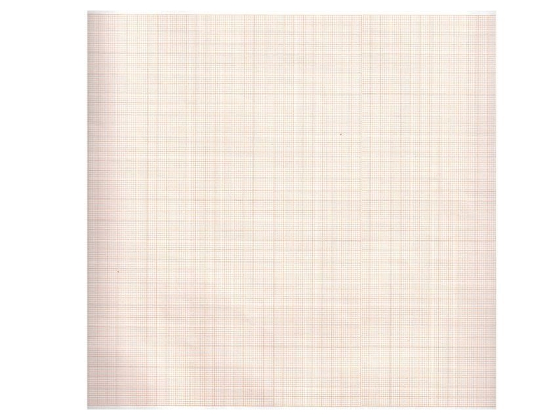 Carta termica per ECG CARDIOLINE DELTA 1 PLUS - Rotolo compatibile Carta termica per ECG CARDIOLINE DELTA 1 PLUS - Rotolo compatibile